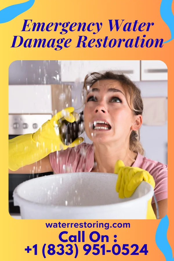 Emergency Water Damage Restoration in Candler-McAfee, GA