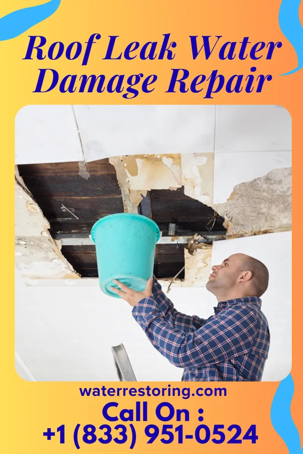 Roof Leak Water Damage Repair in Candler-McAfee, GA